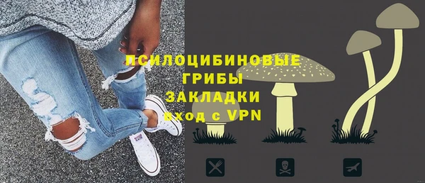 прущие грибы Володарск